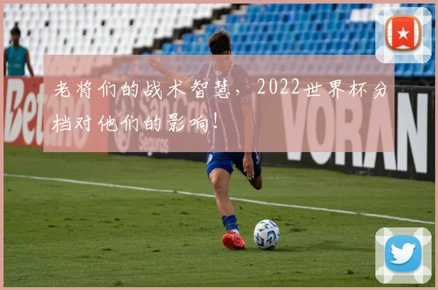 老将们的战术智慧,2022世界杯分档对他们的影响!