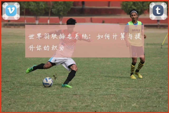 世界羽联排名系统：如何计算与提升你的积分