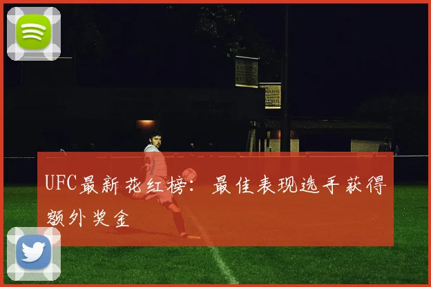 UFC最新花红榜：最佳表现选手获得额外奖金