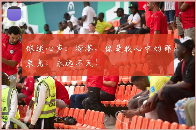 球迷心声:海港,你是我心中的那束光,永远不灭!