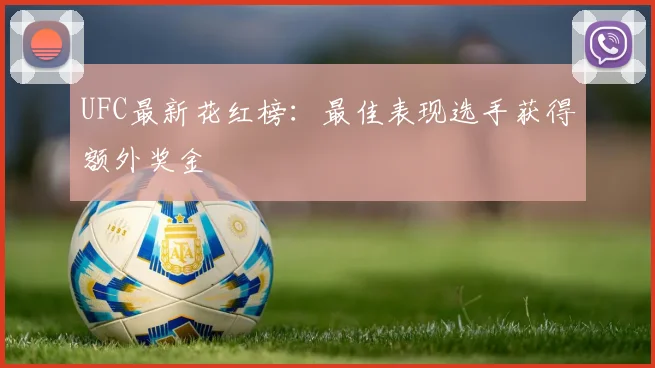 UFC最新花红榜：最佳表现选手获得额外奖金