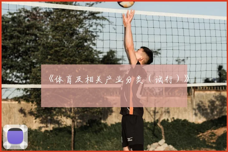 《体育及相关产业分类(试行)》