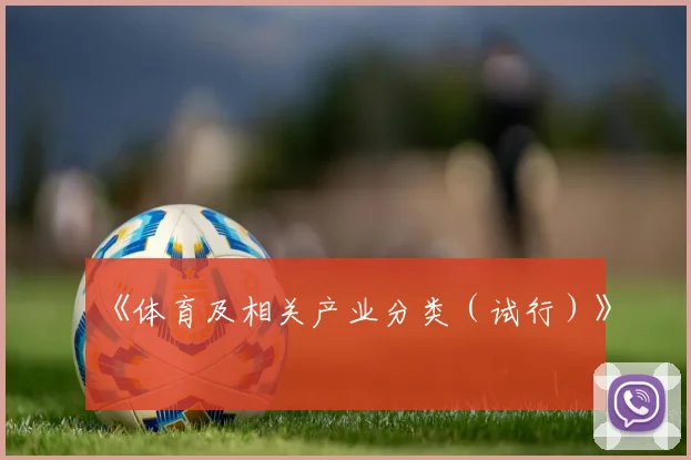 《体育及相关产业分类（试行）》