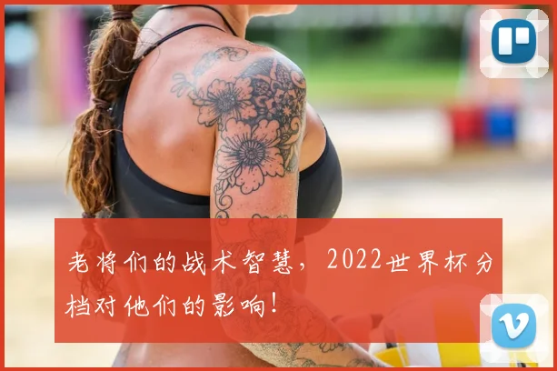 老将们的战术智慧,2022世界杯分档对他们的影响!